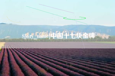 启东中国十七块金牌