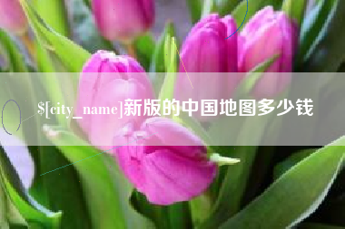 启东新版的中国地图多少钱