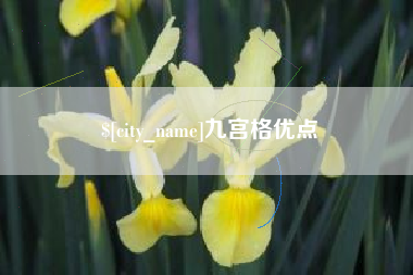 启东九宫格优点