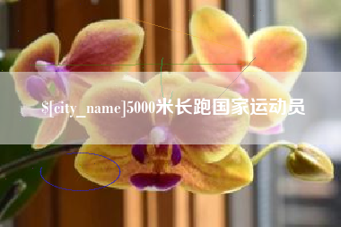 启东5000米长跑国家运动员