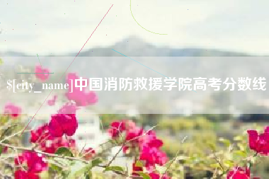 启东中国消防救援学院高考分数线