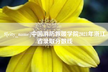 启东中国消防救援学院2021年浙江省录取分数线