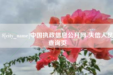 启东中国执政信息公开网-失信人员查询页