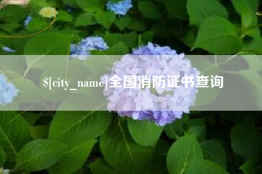 启东全国消防证书查询
