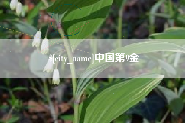 启东中国第9金