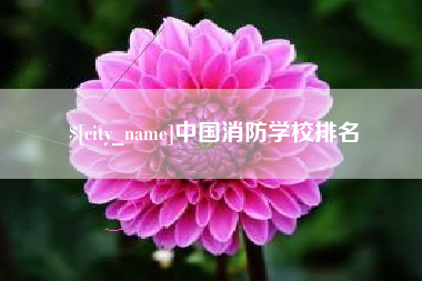 启东中国消防学校排名