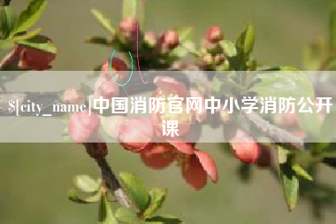 启东中国消防官网中小学消防公开课
