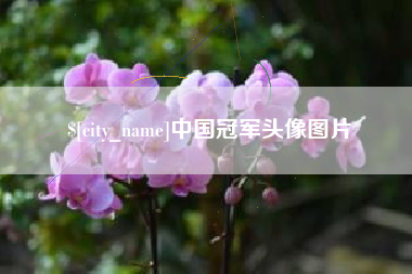 启东中国冠军头像图片
