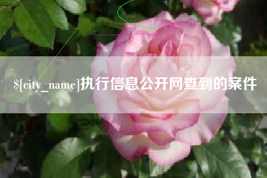 启东执行信息公开网查到的案件