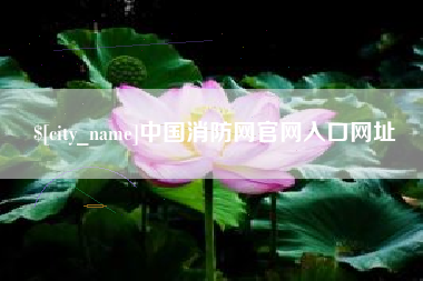 启东中国消防网官网入口网址