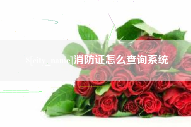 启东消防证怎么查询系统