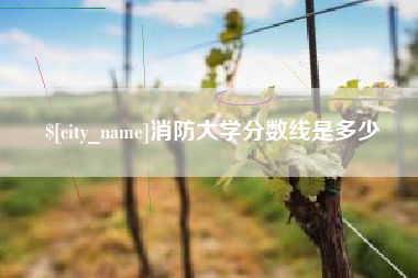启东消防大学分数线是多少