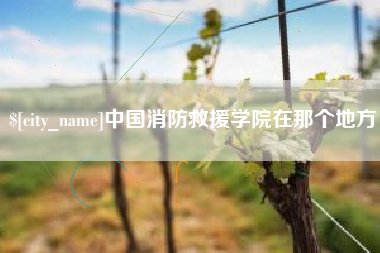 启东中国消防救援学院在那个地方