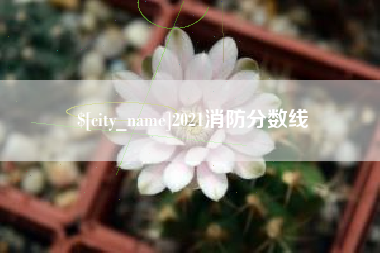 启东2021消防分数线