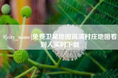 启东免费卫星地图高清村庄地图看到人实时下载