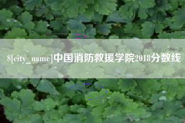 启东中国消防救援学院2018分数线