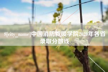 启东中国消防救援学院2020年各省录取分数线