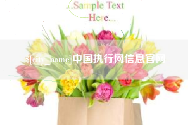 启东中国执行网信息官网