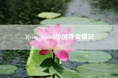 启东中国夺金情况