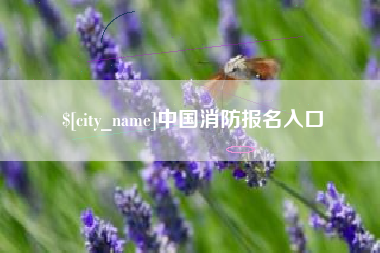 启东中国消防报名入口