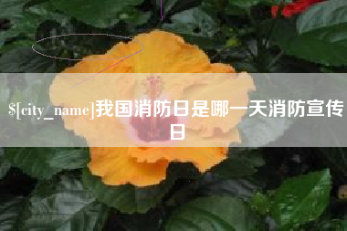 启东我国消防日是哪一天消防宣传日