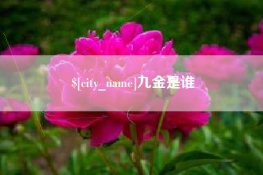 启东九金是谁