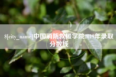 启东中国消防救援学院2019年录取分数线