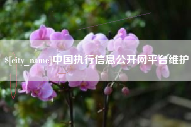 启东中国执行信息公开网平台维护