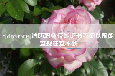 启东消防职业技能证书查询以前能查现在查不到