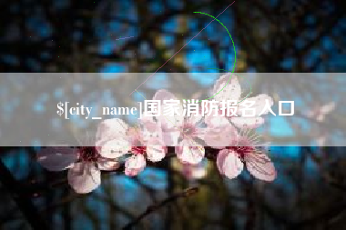 启东国家消防报名入口