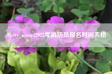 启东2025年消防员报名时间表格