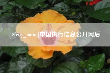 启东中国执行信息公开网后