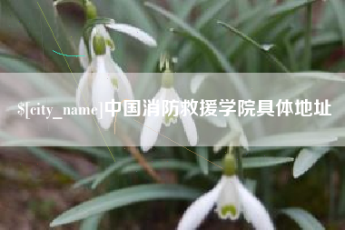 启东中国消防救援学院具体地址