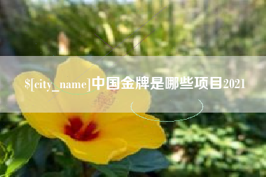 启东中国金牌是哪些项目2021