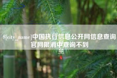 启东中国执行信息公开网信息查询官网限消中查询不到
