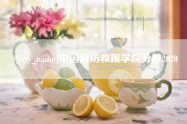 启东中国消防救援学院分数2020