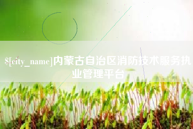 启东内蒙古自治区消防技术服务执业管理平台