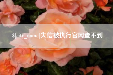 启东失信被执行官网查不到