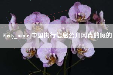 启东中国执行信息公开网真的假的