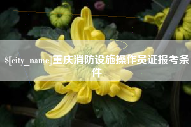 启东重庆消防设施操作员证报考条件