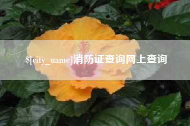 启东消防证查询网上查询