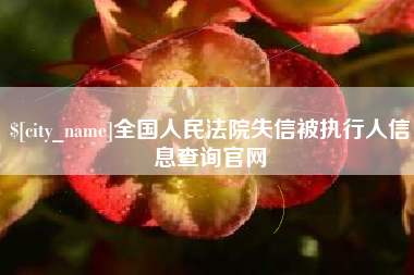 启东全国人民法院失信被执行人信息查询官网