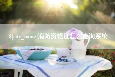 启东消防资格证怎么查询系统