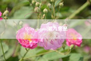 启东第九金是