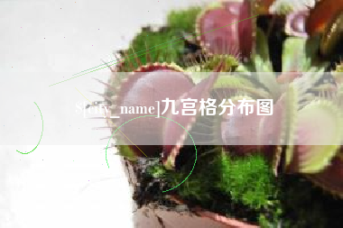 启东九宫格分布图