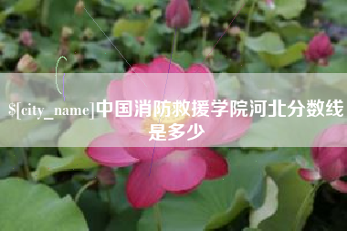启东中国消防救援学院河北分数线是多少