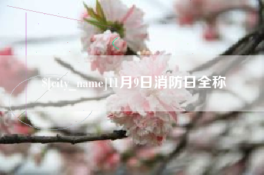 启东11月9日消防日全称
