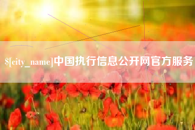 启东中国执行信息公开网官方服务