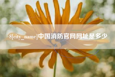 启东中国消防官网网址是多少