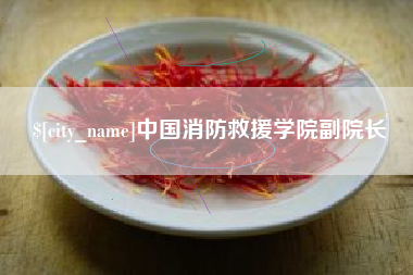 启东中国消防救援学院副院长